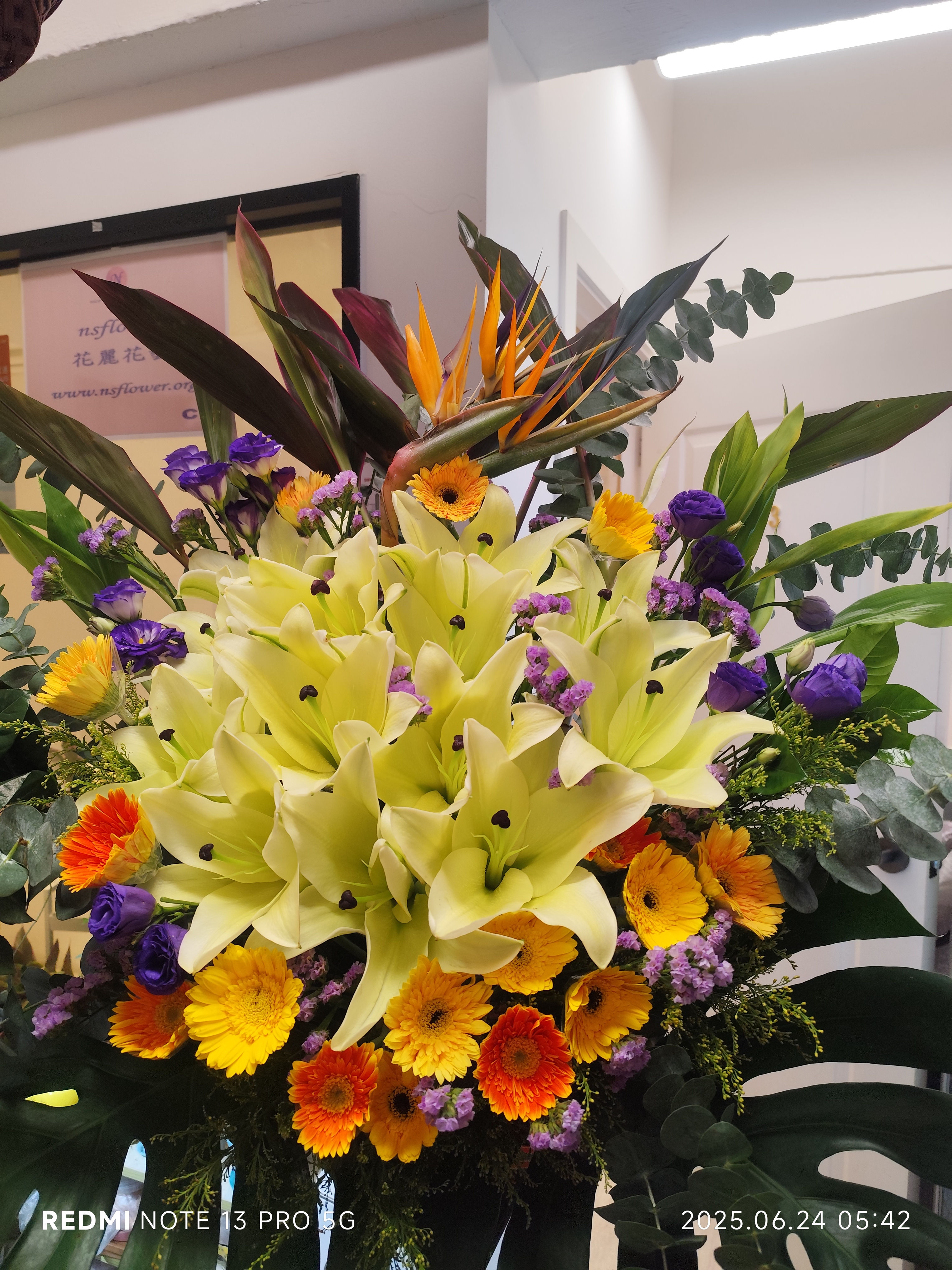 FBA-109  高腳開張花籃