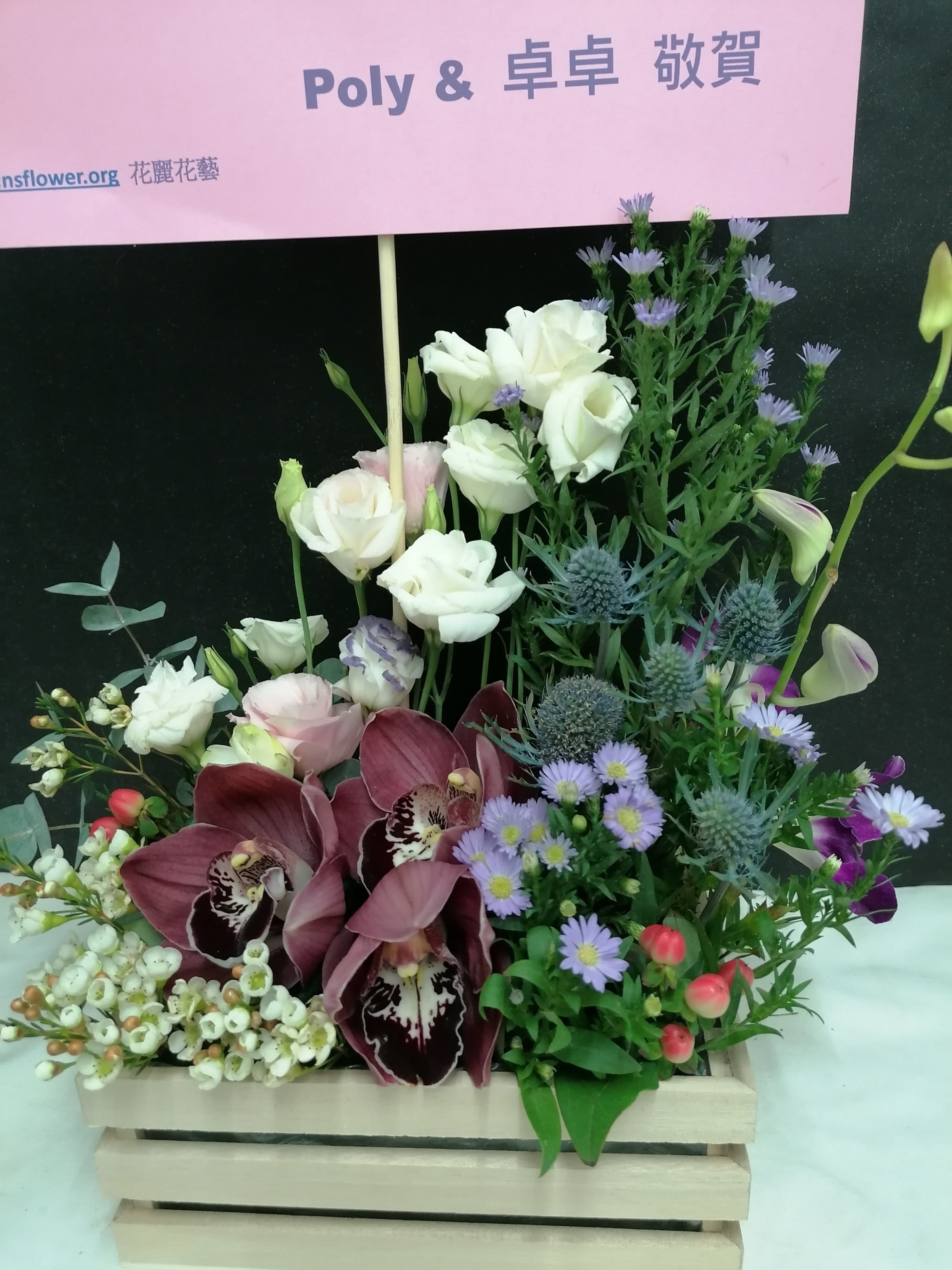 TFA-M220  紅惠蘭桔梗迷你鮮花擺設