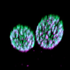 image8.gif