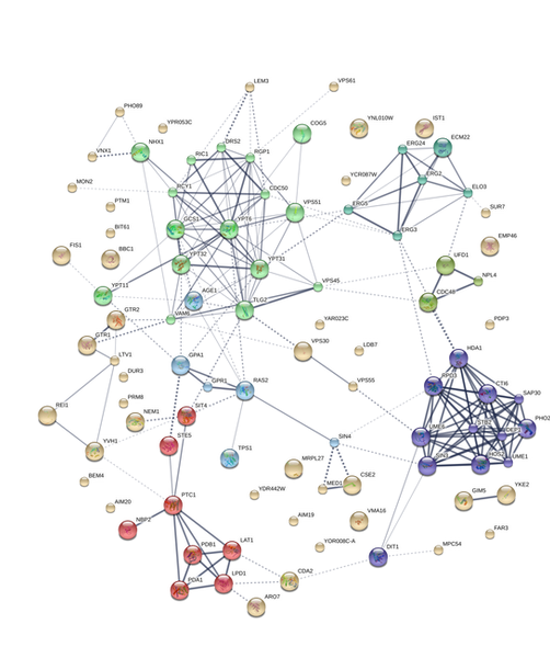 Recycling pathway analysis for website.png