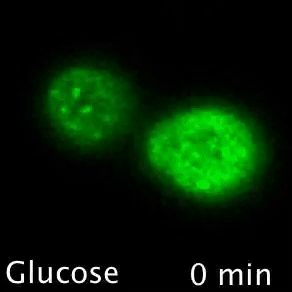 image6.gif