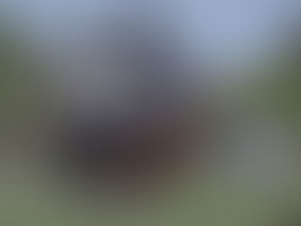 La fessée paternelle !