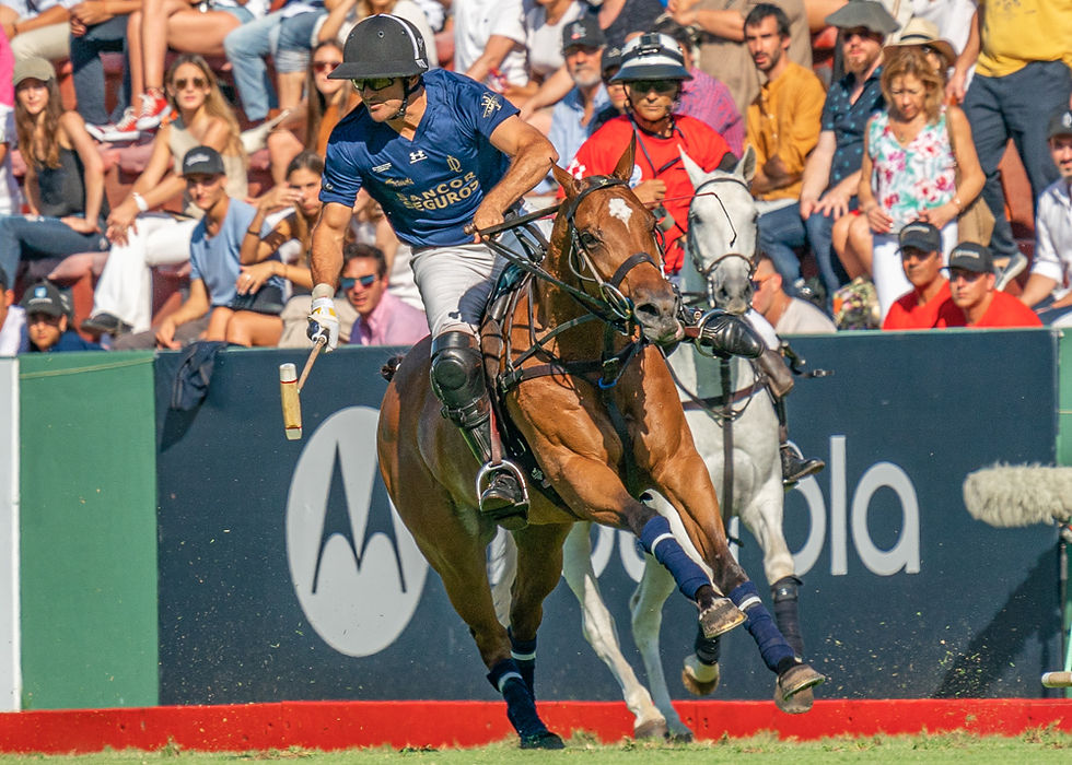 Le frisson de jouer à Buenos Aires devant 16 000 spectateurs le jour d'une finale : Pelon Stirling l'a connu à 14 reprises pour 10 victoires au compteur ! © Pascal Renauldon / R&B Presse