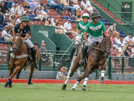 130° Open d’Argentine : où en est-on ?