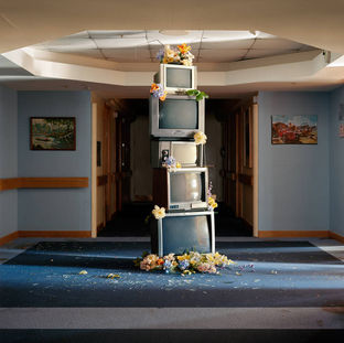 album cover of Denude's A Murmuration of Capitatlist Bees