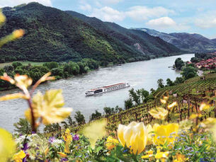 A river cruise ship floating on the river