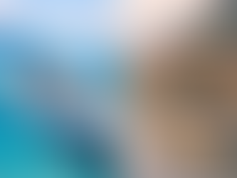 An ocean cruise ship next to a river cruise ship