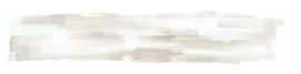 IMG_3869.png