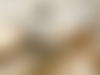 HAREA ORGANIC: SESIÓN DE PRODUCTO Y RETRATO CORPORATIVO
