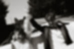 I&A wedding-180.jpg
