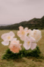 Wedding Planner en Cataluña