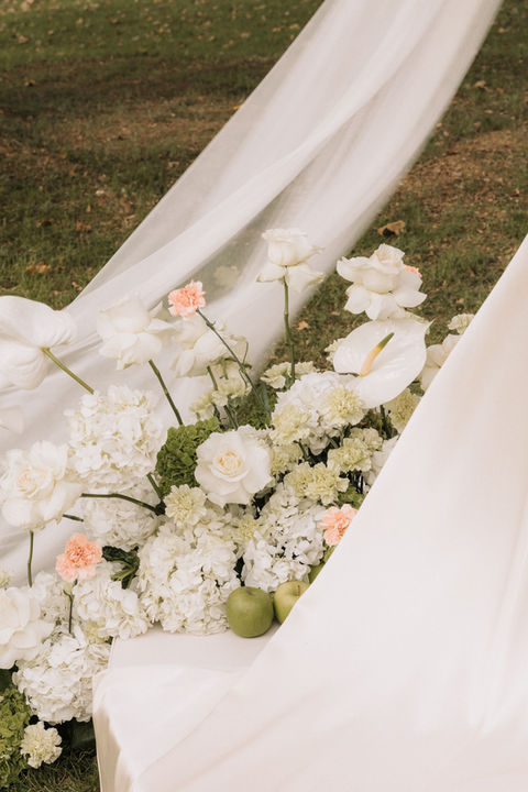 Finca viñedos de butron