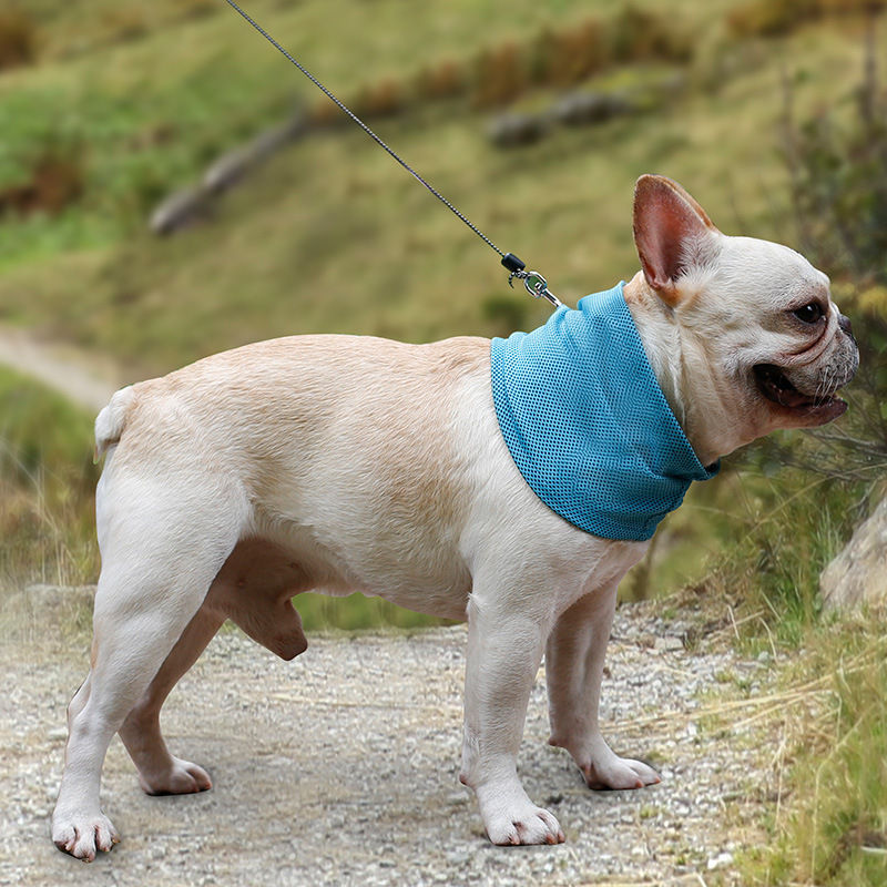 Thumbnail: ChillPaws Instant Cooling Bandana