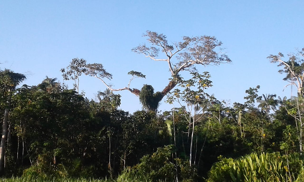 BR-364 ( Cruzeiro do Sul - Acre)