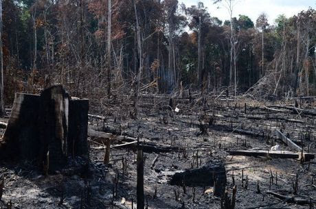 Queimada na região de Rio Branco 2020 - Acre