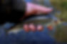 721bbdb7-671f-44f0-a54f-d87bbb401c4d.jpg