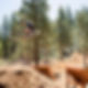 1000-Slopestyle12_TBP_vzh.jpg
