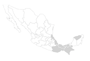 mapa pag web biosartti-01.png