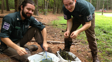 NC Youth Conservation Corps Recruiting for Summer Positions