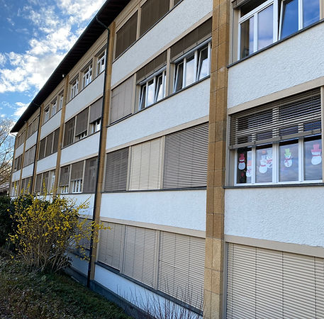 reparation et entretien de store a lamelles