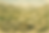 13.png