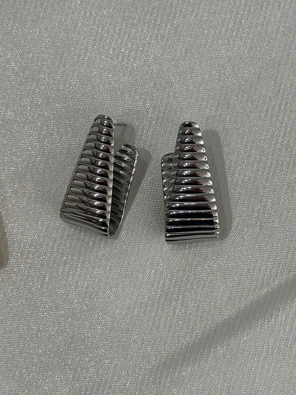 Thumbnail: Stainless steel earrings 