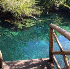 Discover the Indigenous Eyes Ecological Park