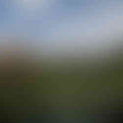 imprescindibles que ver y hacer en Ho Chi Minh (Vietnam)