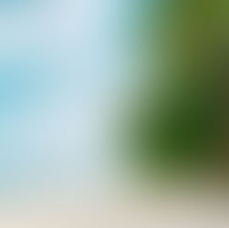 15 Mejores cosas que hacer en Cozumel