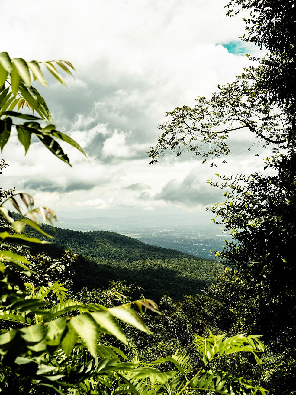 Cómo llegar a Chiang Rai, Tailandia