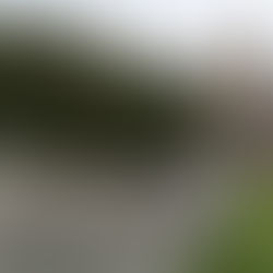 Qué ver en York y sus alrededores 