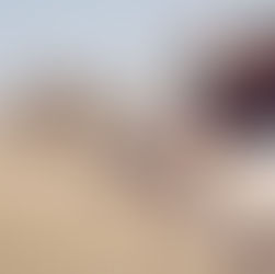 Cómo visitar las Pirámides de Giza, Egipto