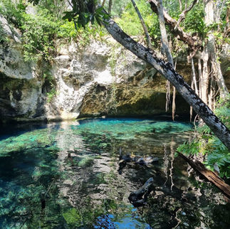 10 Mejores cenotes que ver en Tulum, México