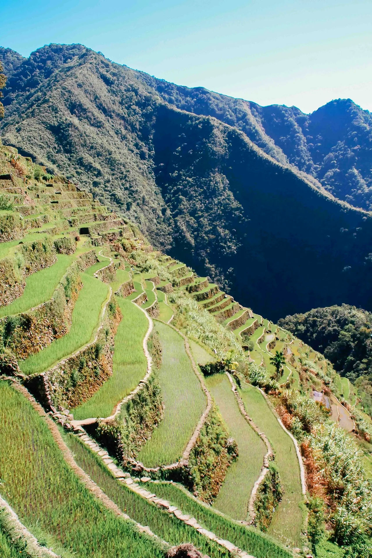 Qué ver en Banaue, Filipinas