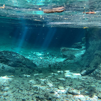 10 Mejores cenotes que ver en Tulum, México