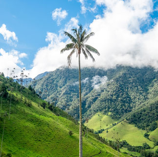 15 curiosidades de Colombia que te sorprenderán