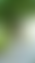 Qué ver en Betancuria, el pueblo más romántico de Fuerteventura