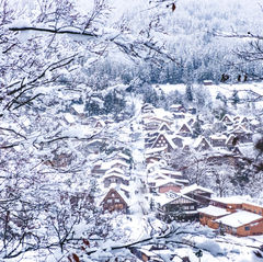 Mejores excursiones que hacer desde Takayama