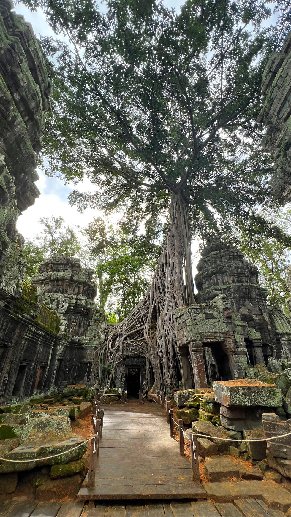 Visit the archaeological site of Angkor Wat (Cambodia)