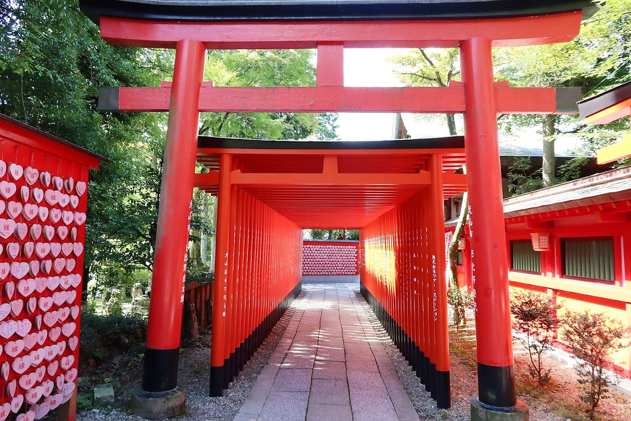 Visitar la ciudad y el Castillo de Inuyama