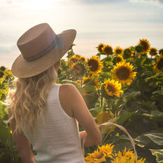 5 Mejores campos de girasoles que visitar en Florida