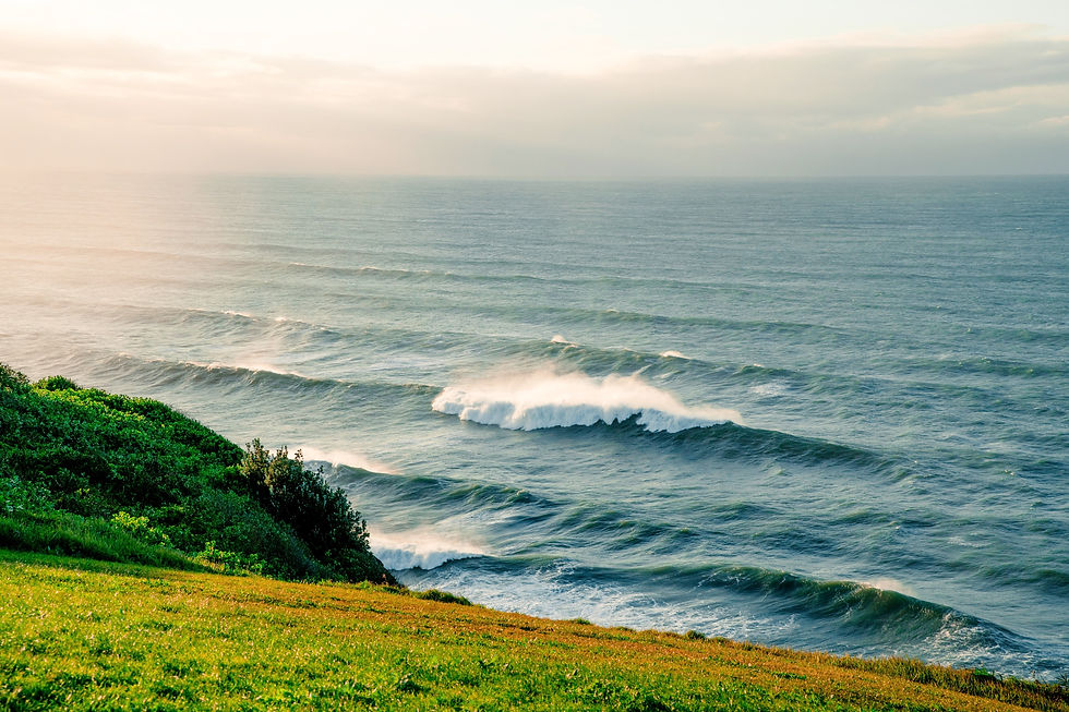 Cómo ir de Sídney a Newcastle: Mejores opciones