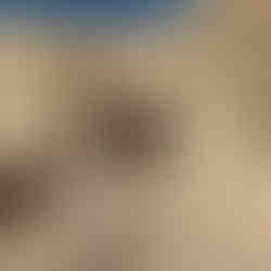 Imprescindibles que ver y hacer en tarragona (ciudad)