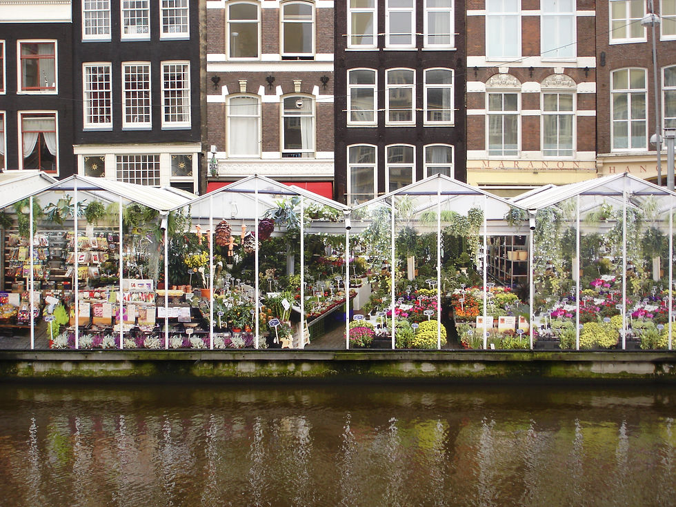 25 Imprescindibles qué ver y hacer en Ámsterdam 