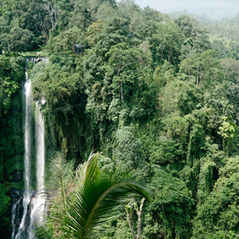 Sekumpul, las cascadas secretas más alucinantes de Bali