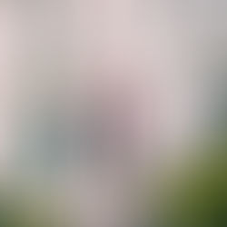 Qué ver y hacer en el Barrio de Notting Hill, Londres