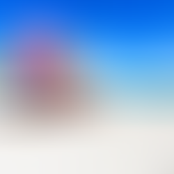 25 Imprescindibles que ver y hacer en Miami