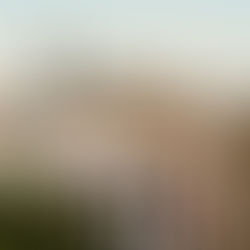 Las mejores visitas guiadas y free tours en Sevilla