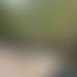 55 Mejores cosas que ver y hacer en Sídney