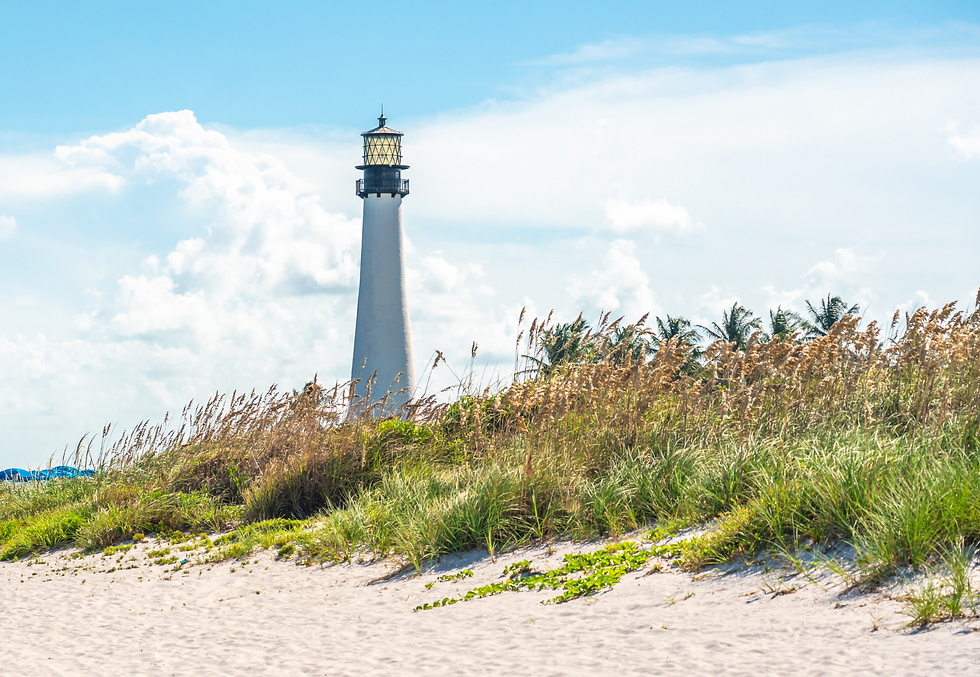 25 Imprescindibles que ver y hacer en Miami